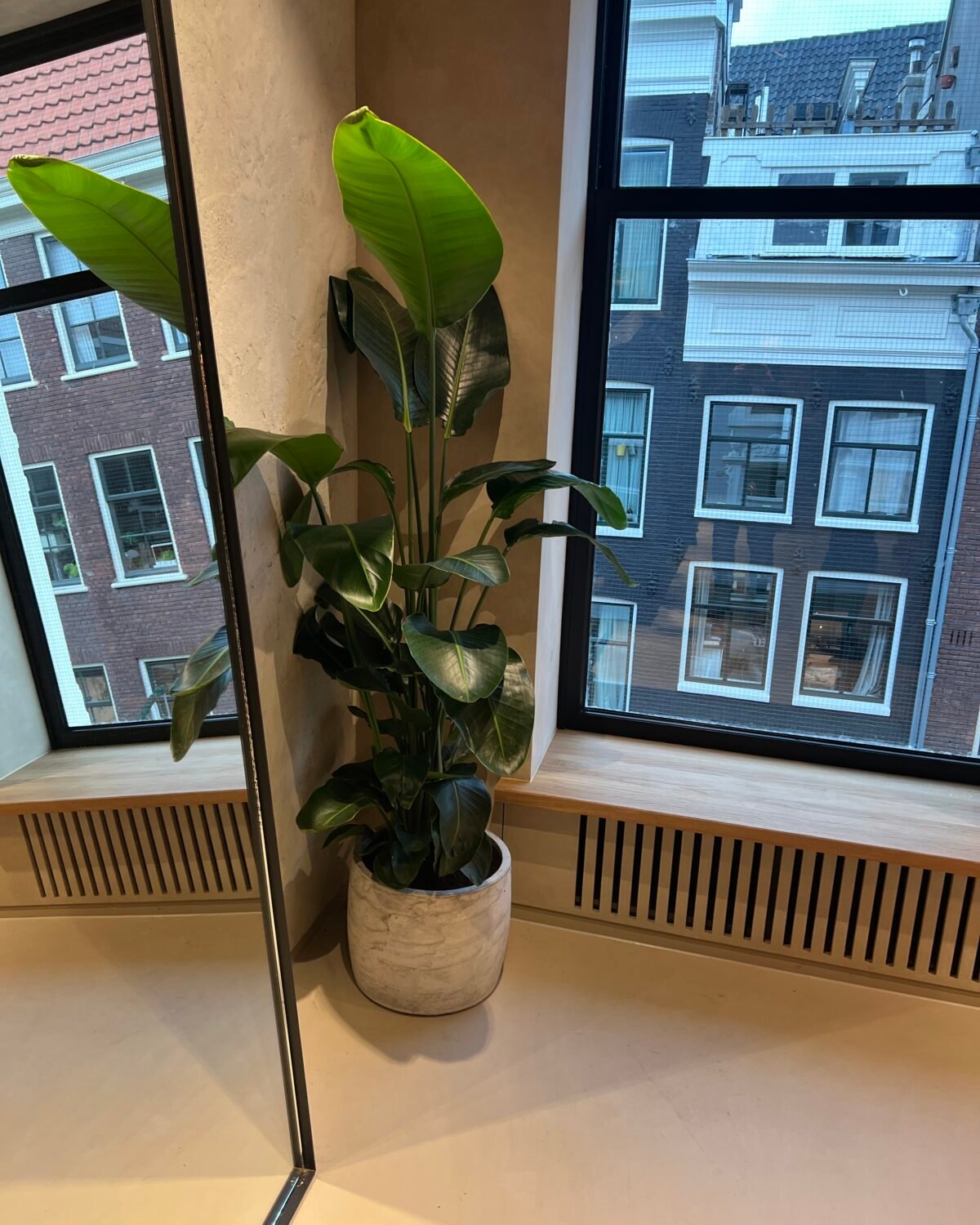 Plantscount interieurbeplanting
