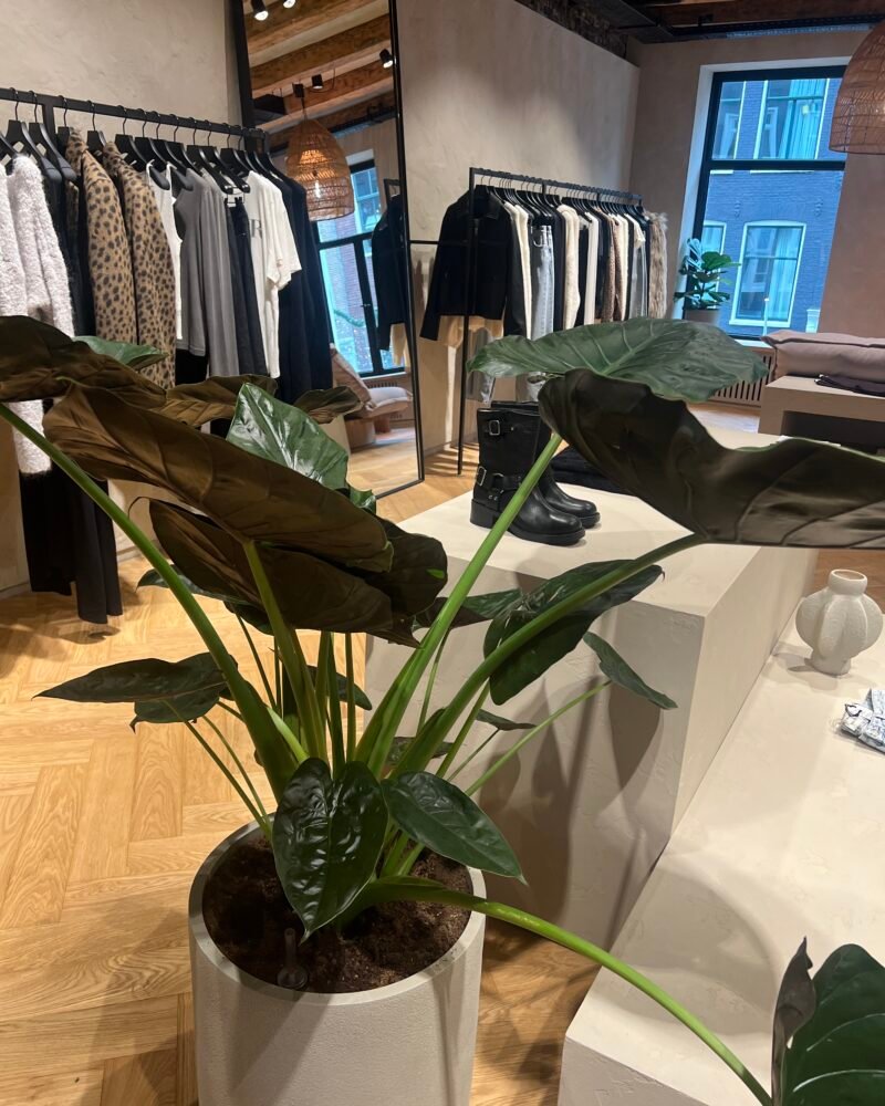 Retail & Mode