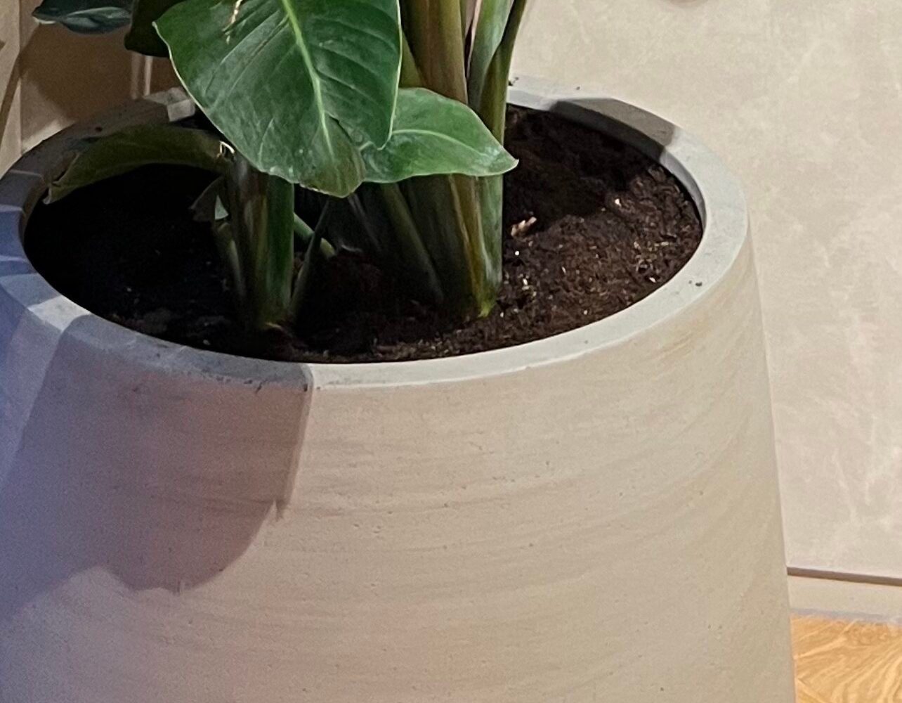 Kantoorbeplanting met hydrocultuur