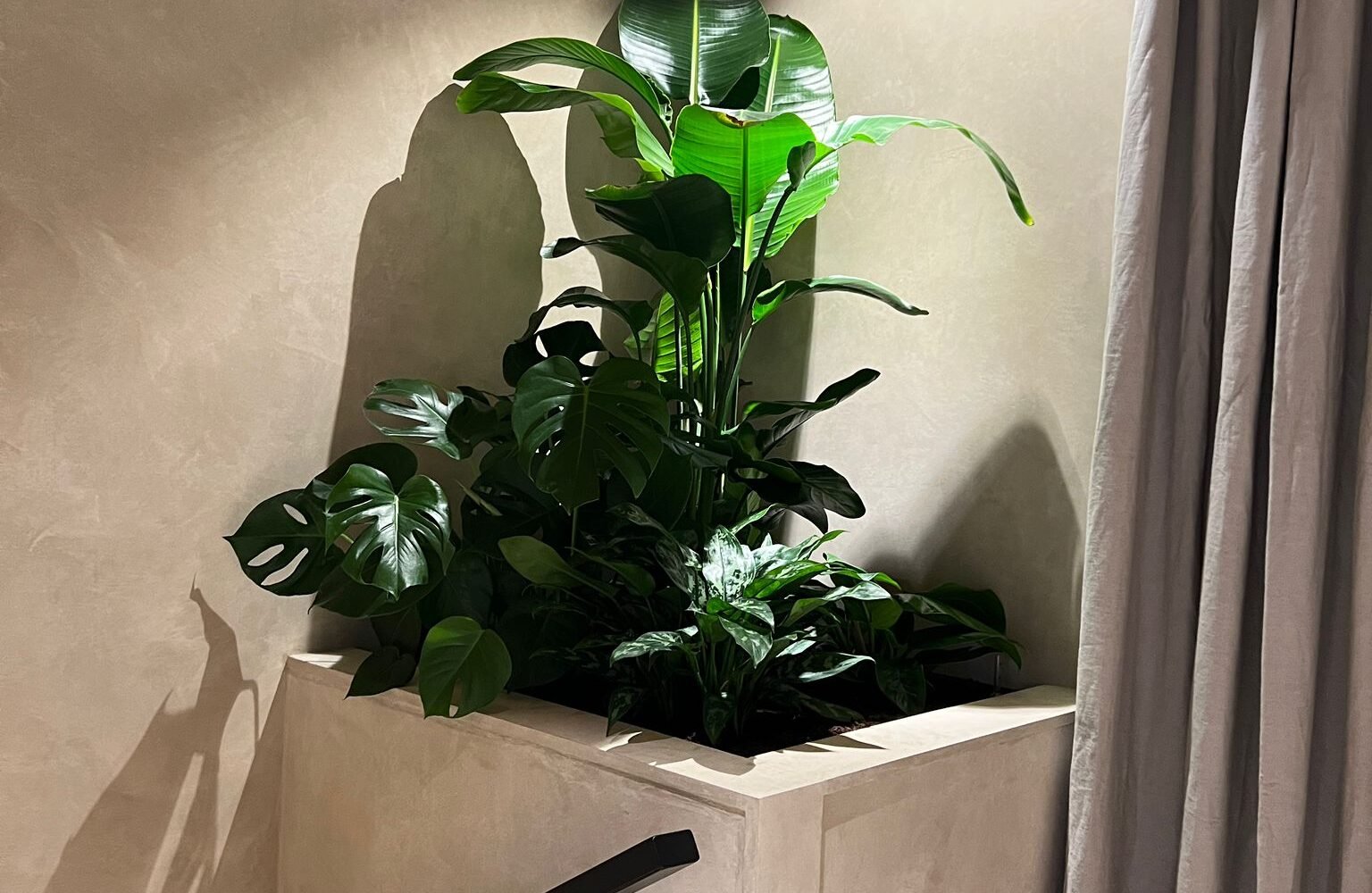 Planthuur & Lease